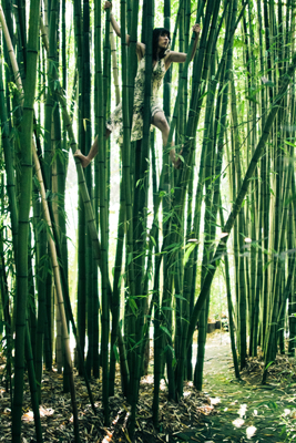 SCENERY Bamboo`BM 3